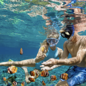 Experiencia de mergulho no Caribe